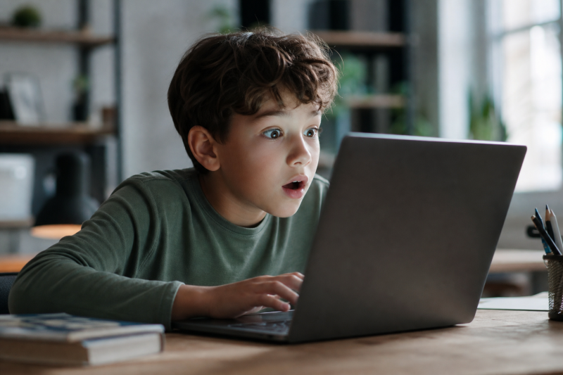 Der Anfang: Eine Faszination für das, was im Internet möglich ist