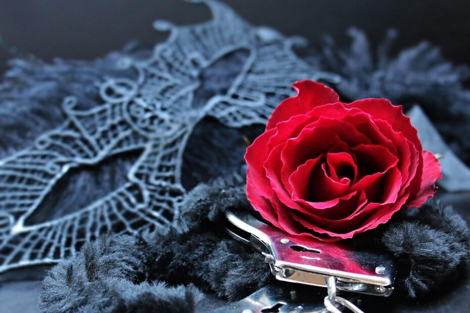 mask, handcuffs, rose flower, rose, black mask, eroticism, seduction, invitation, shackles, imagination