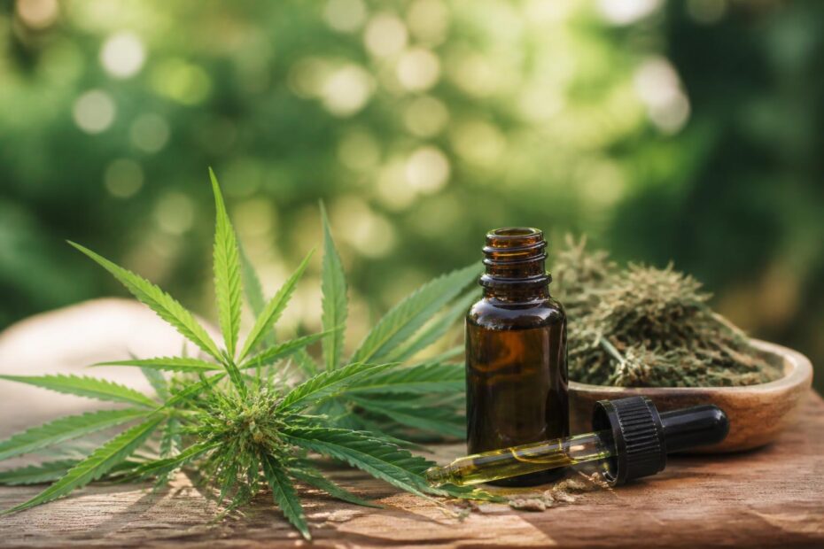 CBD verstehen: Wirkung, Unterschiede und worauf Verbraucher achten sollten